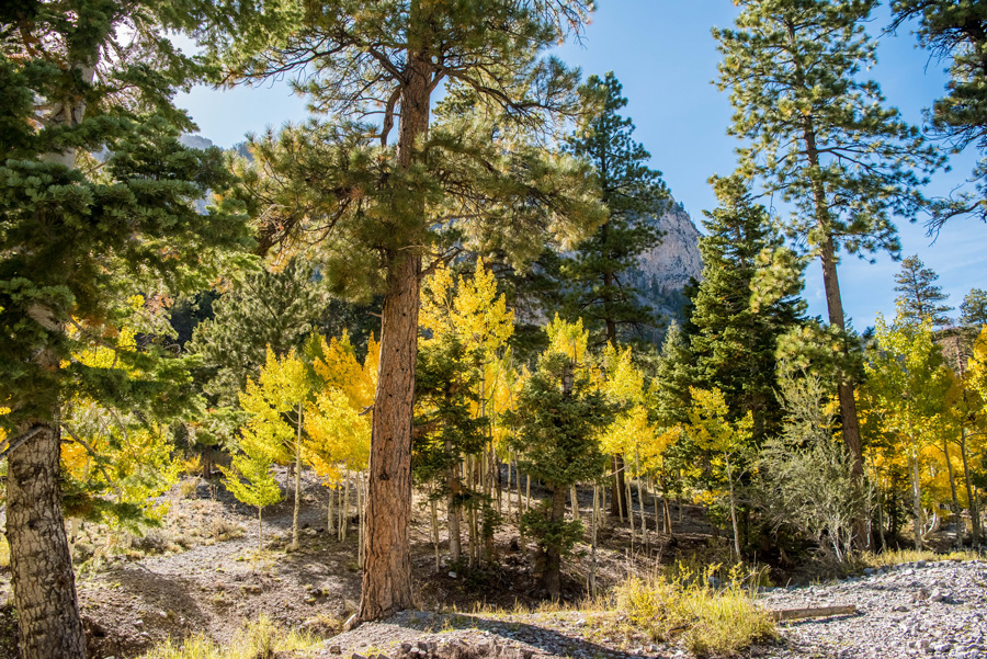 Las Vegas Mountains | KMH Photography